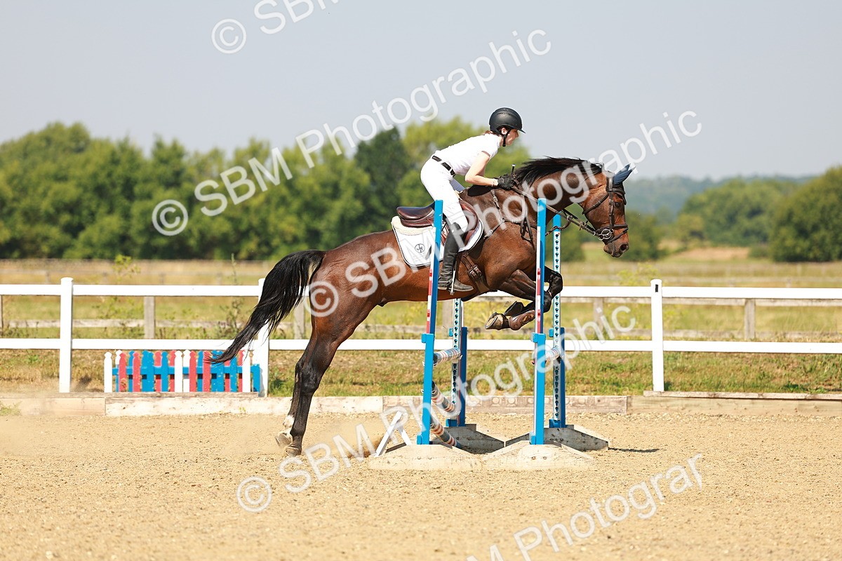 SBM_000384 - Class 2 - Senior British Novice - 90cm