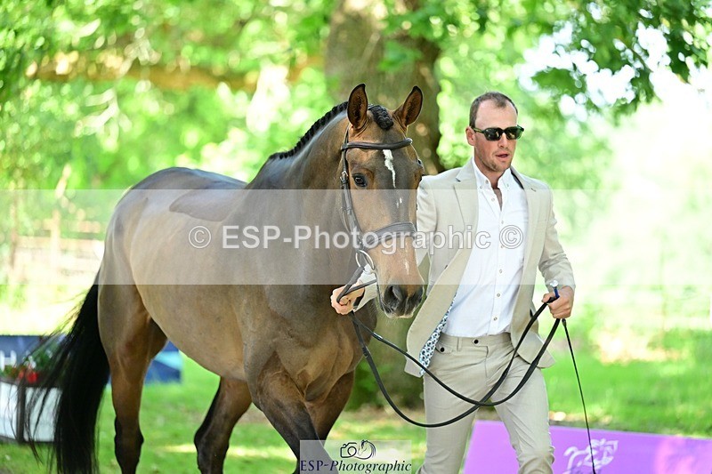 260527A-145851-00733 - C-320-Tom.Rowland