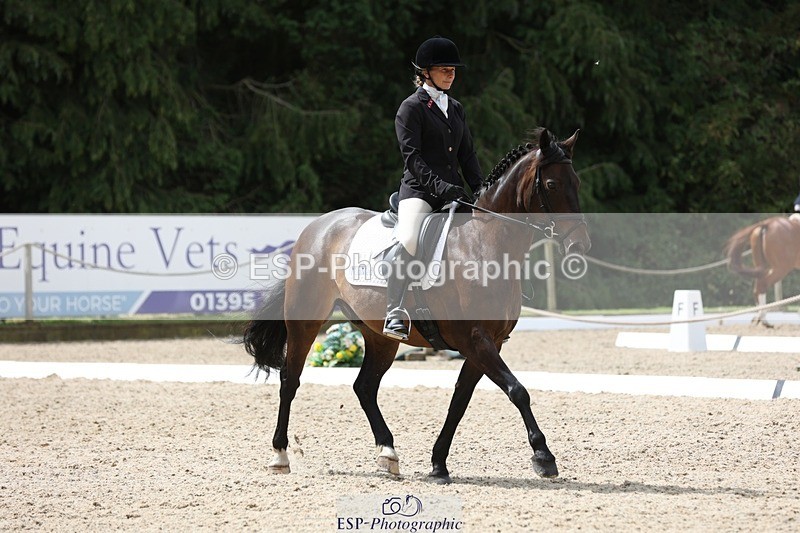 230812-121948-03980 - Cls 5 Novice Bronze 11.15 to 12.50 break