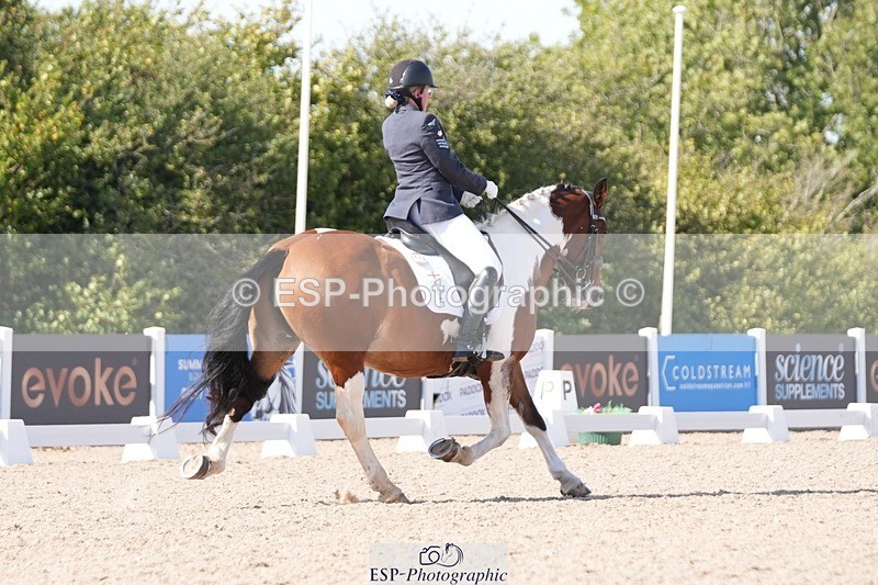 250906-151725-04717 - 112-Mel.DayDolderwydd.lucky.Maisie