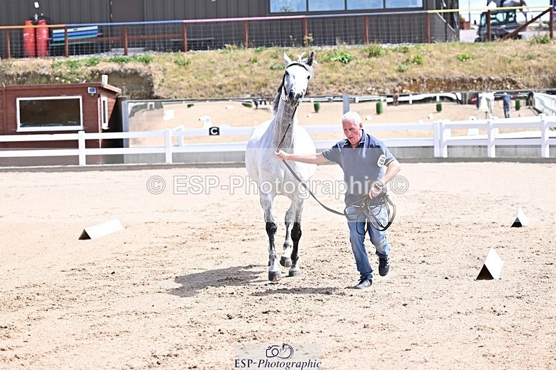 250716-124645-00159 - Trot Up 12.30 to 1.30