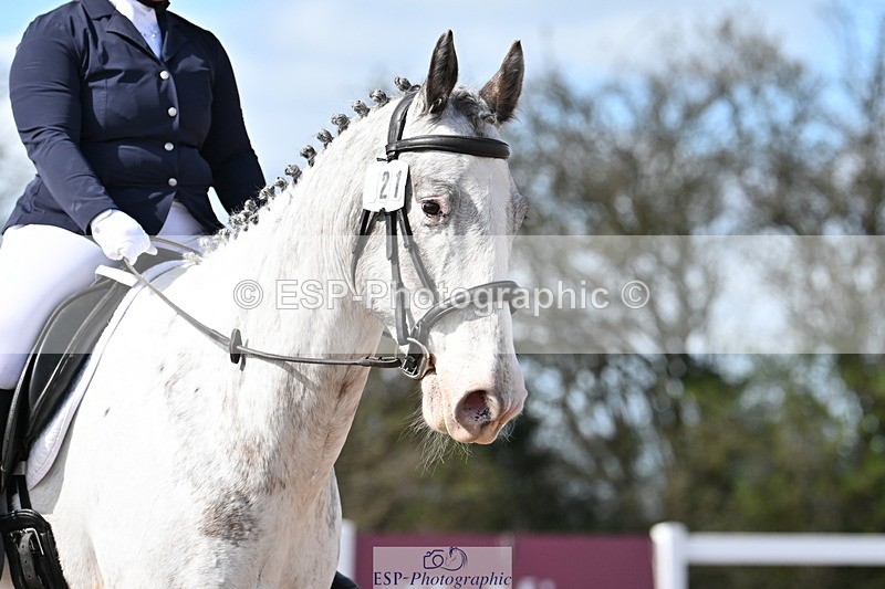 240324A-124631-02376 - Novice 28, 12.15 to 13.00