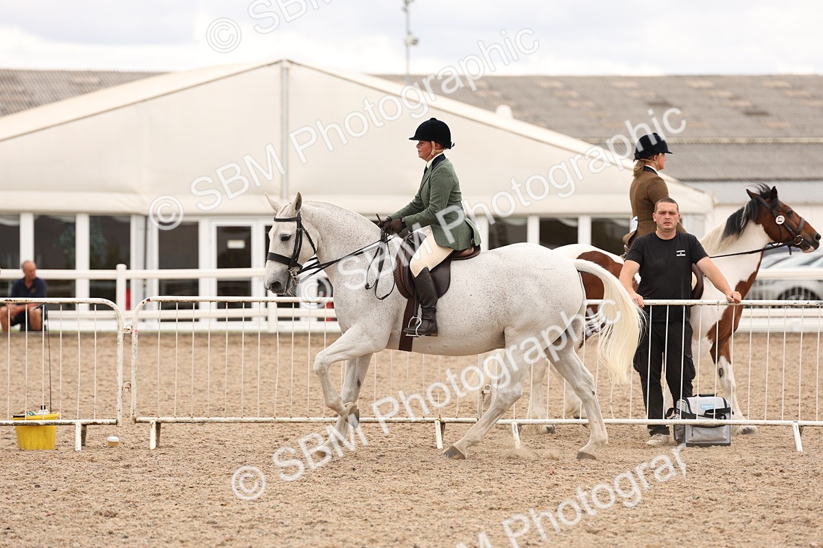 SBM_19567 - Class 215 - Ridden Show cob