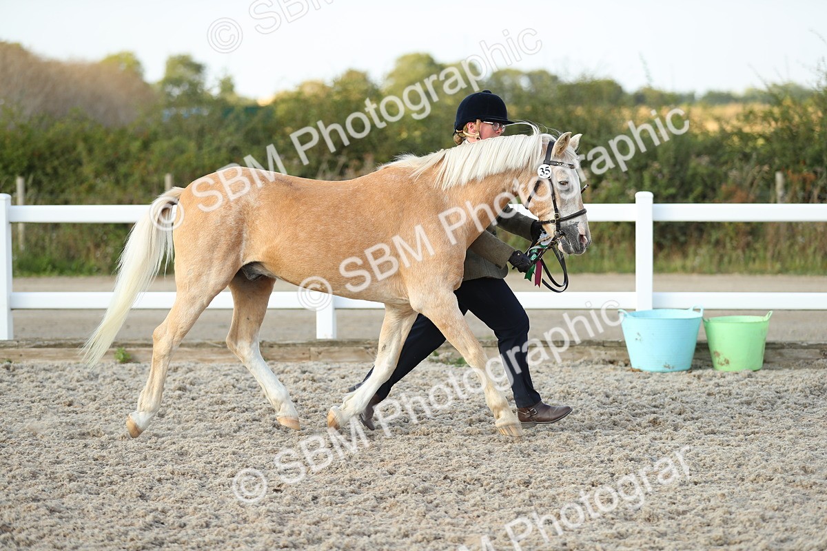 SBM_09125 - Class 29 IH Veteran Pony