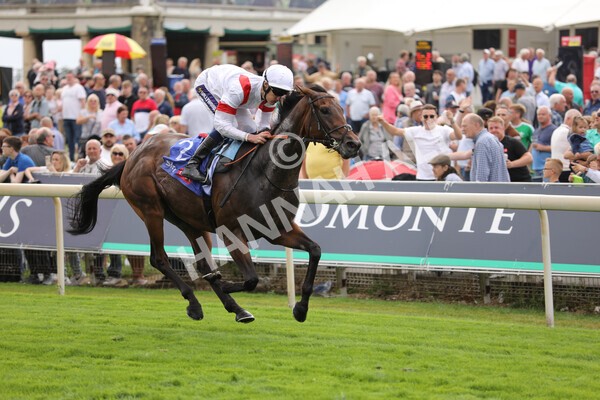 yr17082022r3-23 - Race 3 3.00pm Sky Bet Great Voltigeur Stakes