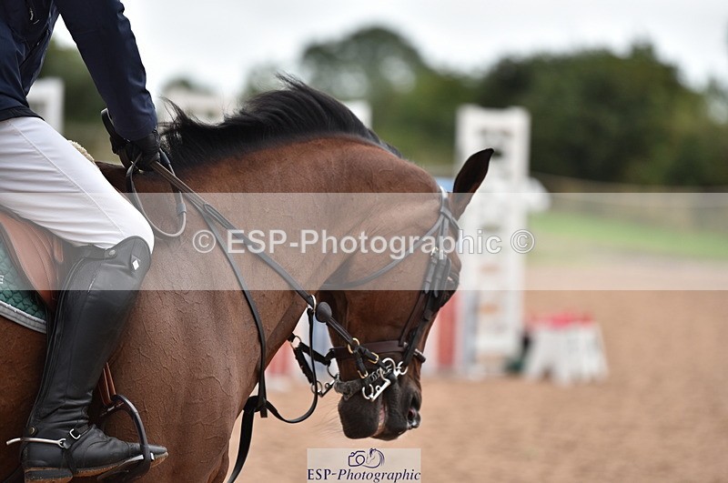 230812A-150706-10119 - Cls 36 Nat 1.30m Open