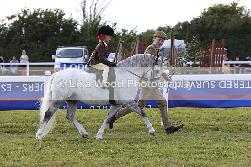 1X9A5488 - M&M Mini Ridden Championship