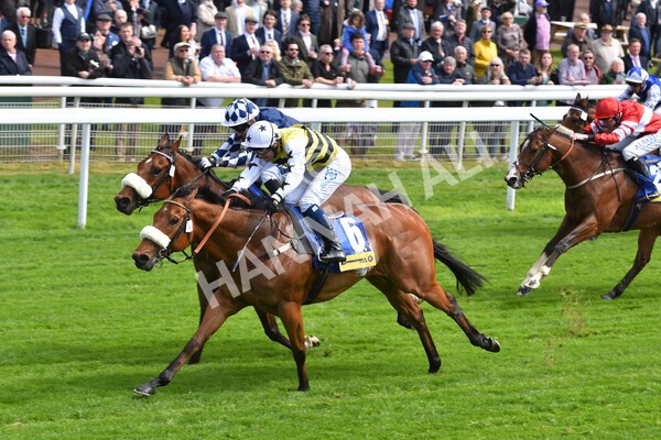 yr11052022r2-38 - Race 2 2.25pm Churchill Tyres Stakes