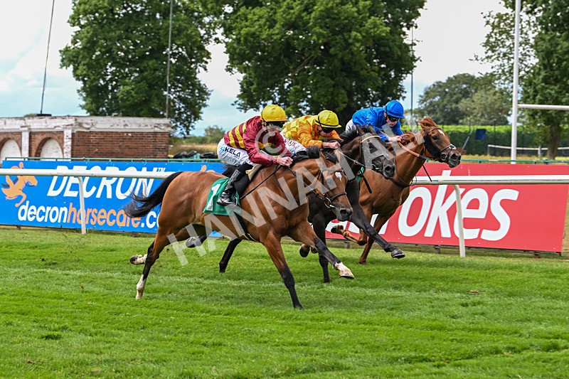 020725-Race 2-Divine Knight-2010 - Race 2