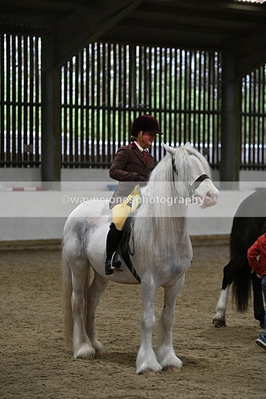 WJ7_4351 - Class 17 Ridden Cob