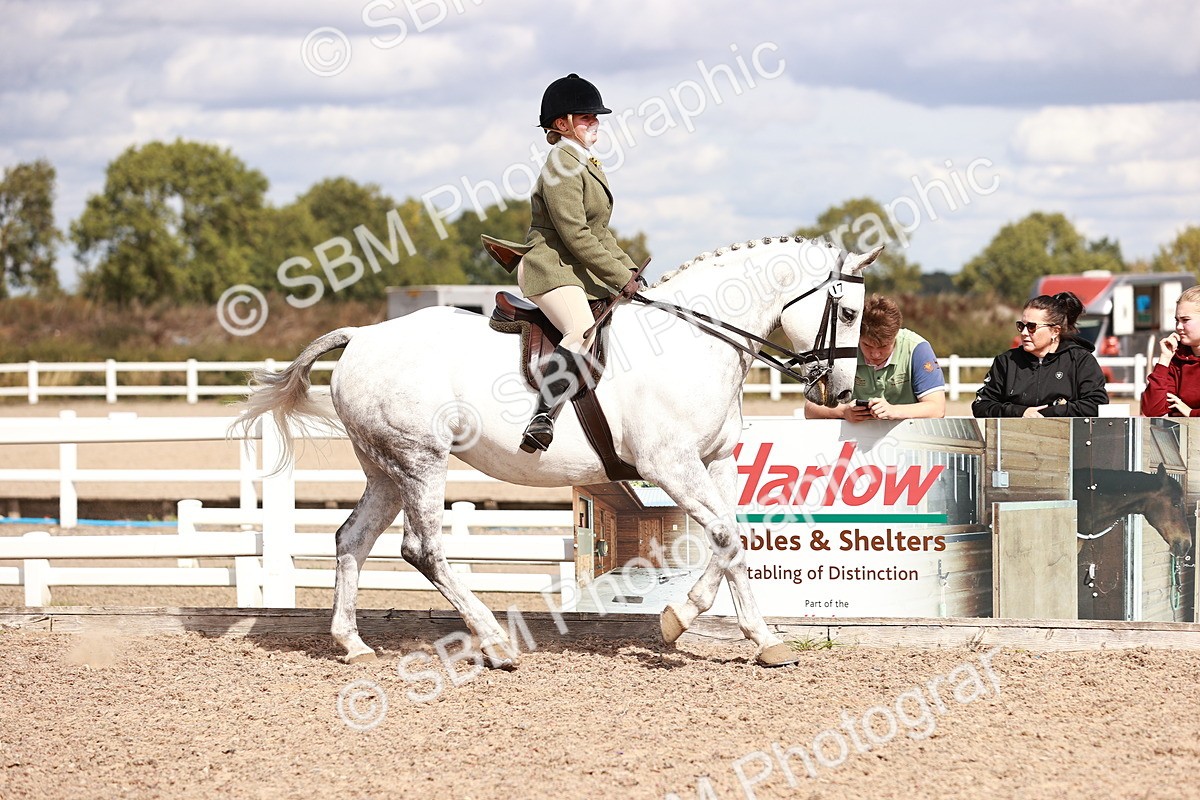 SBM_14427 - Class 410 - Grassroots Ridden - Horse