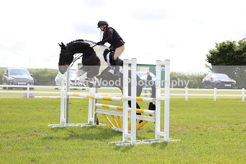 3E7A7667 - Class 13: Senior British Novice/90cm open