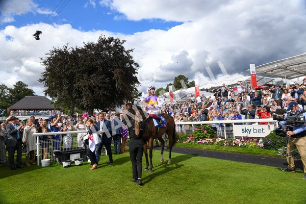 260823-Race 3-Kinross-0364 - Race 3 Sky Bet City Of York Stakes