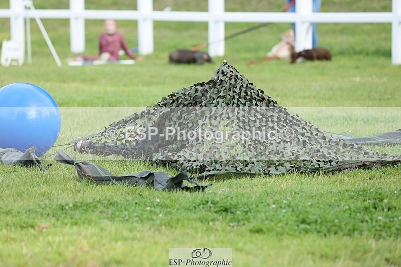 240711-191635-29754 - Cls 210 Jolly Jumps Run and Run