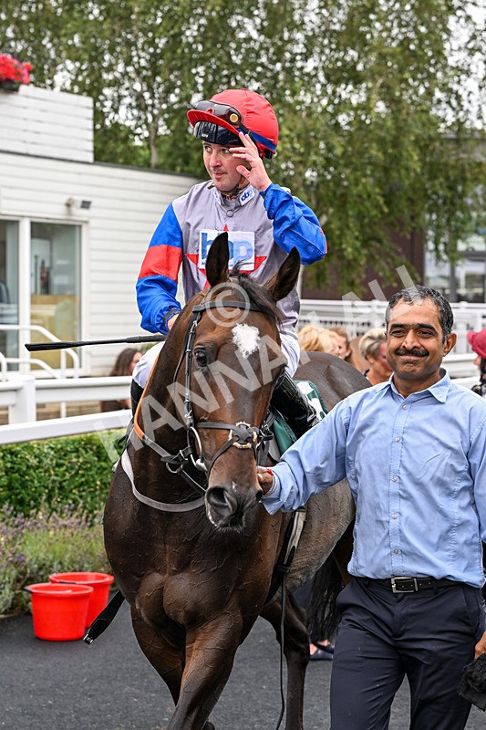 170826-Race 3-Quercus-9457 - Race 3 15.15pm Chapman Milestones Celebration, Thank You NHS Handicap
