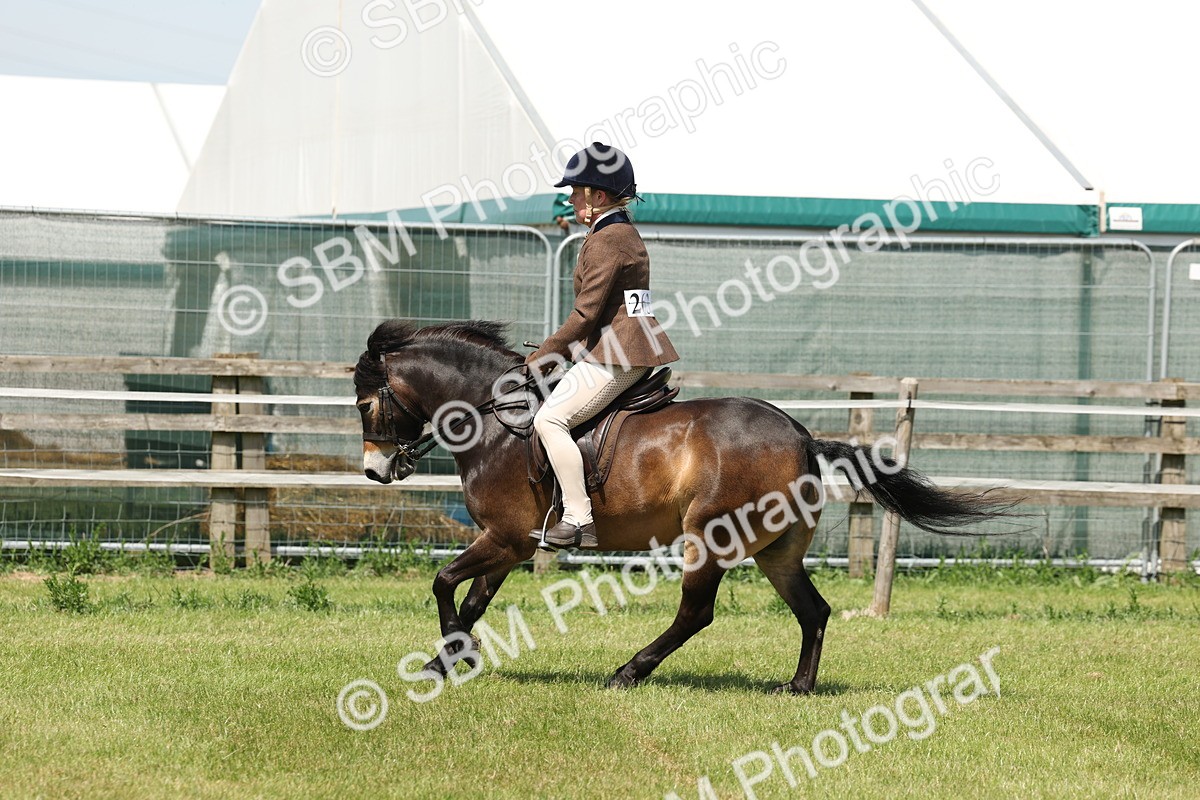 SBM_06847 - Class 26-30 - Mountain and Moorland Ridden