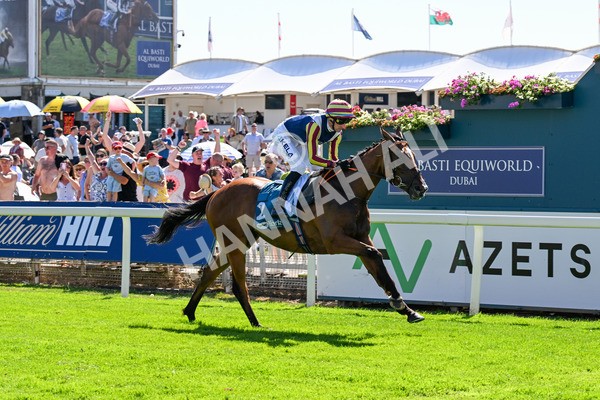 110725-Race 4-Dain Ma Nut In-0349 - Race 4 3.55pm Azets Handicap