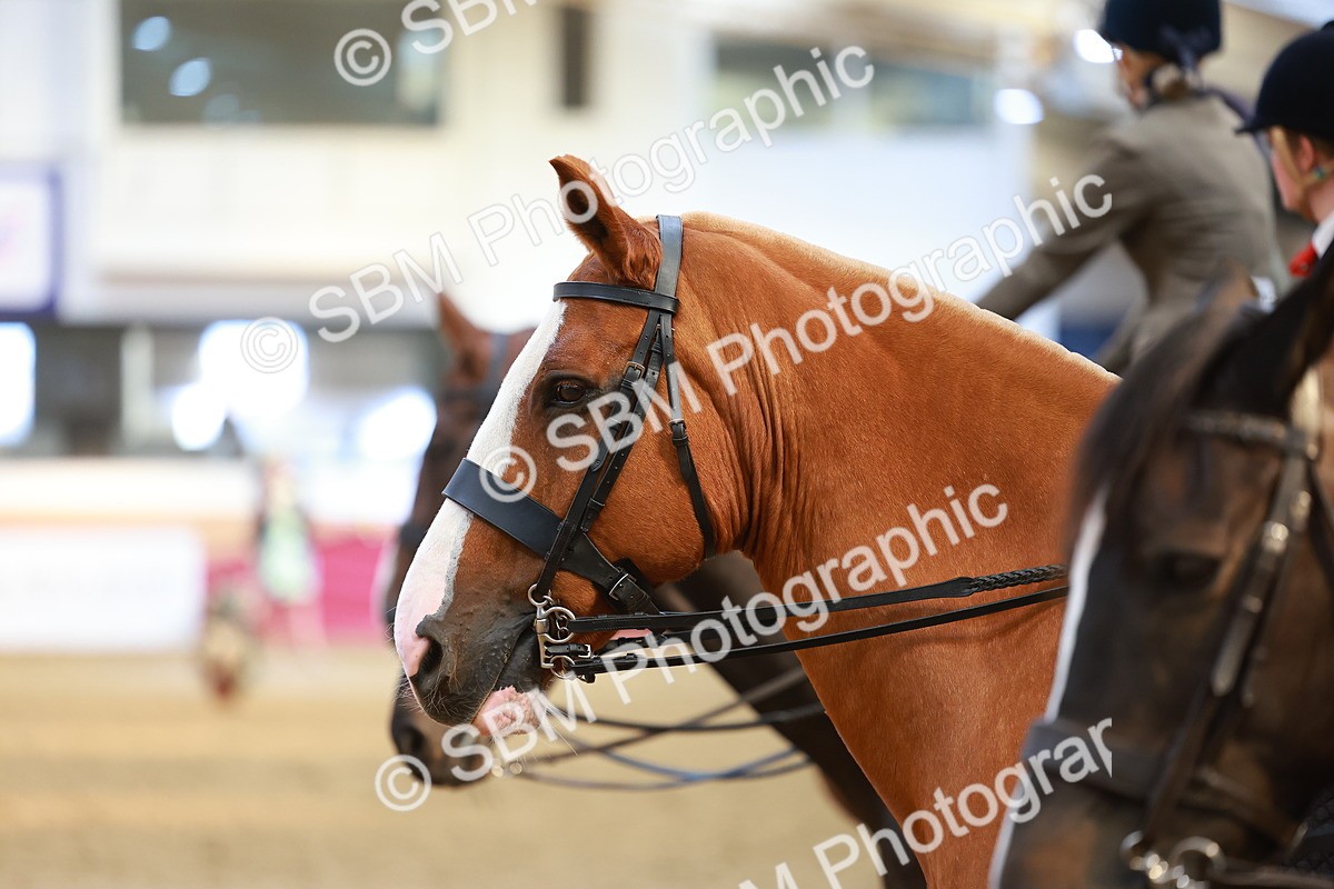 SBM_10640 - Class 103 - HOYS Veteran Qualifier - Ridden Pre Vet