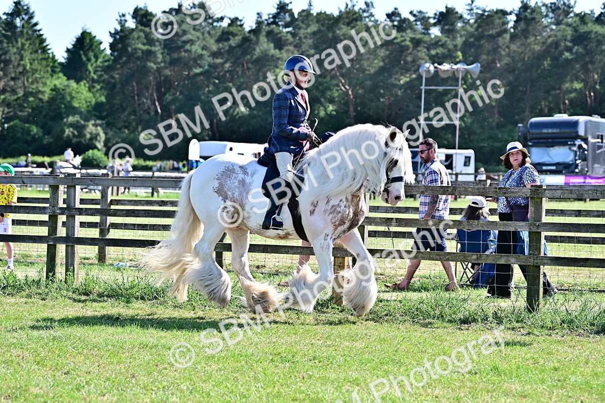 SBM_19476 - Class 101-102 - BSPS LIHS Performance Coloured Horse/Pony