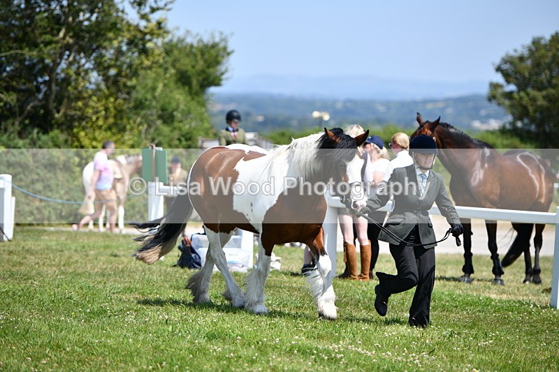 DSC_7559 - Class 64: Coloured Pony 4yrs & over
