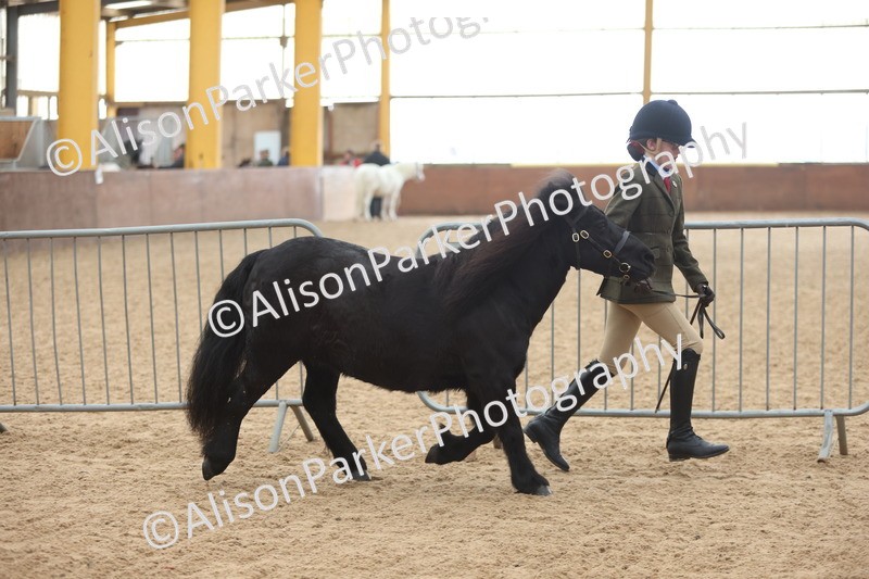 20251109-0150 - Class 8 - Young Handlers