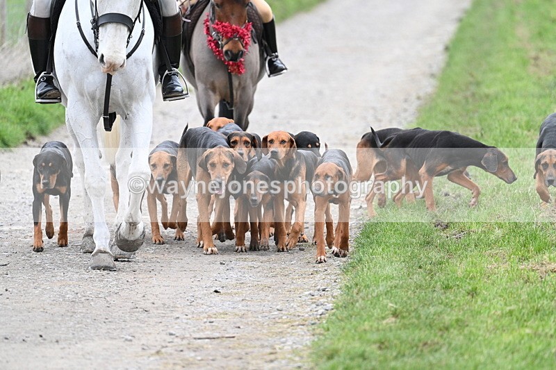 WJ7_1193 - Walk Home