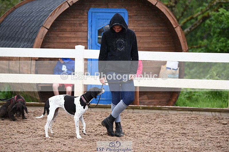 240518A-133842-01339 - Cls 9 Best in Show