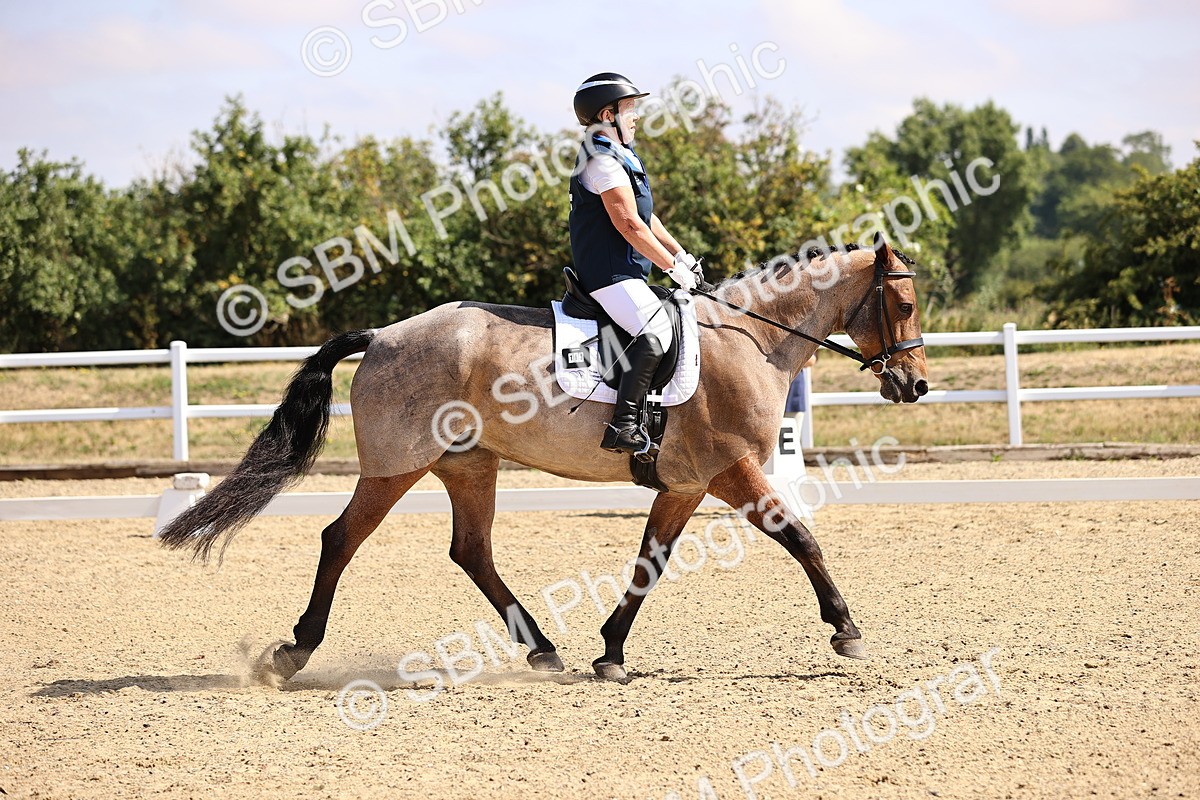 SBM_006515 - Intro 3 - 9.46-10.46