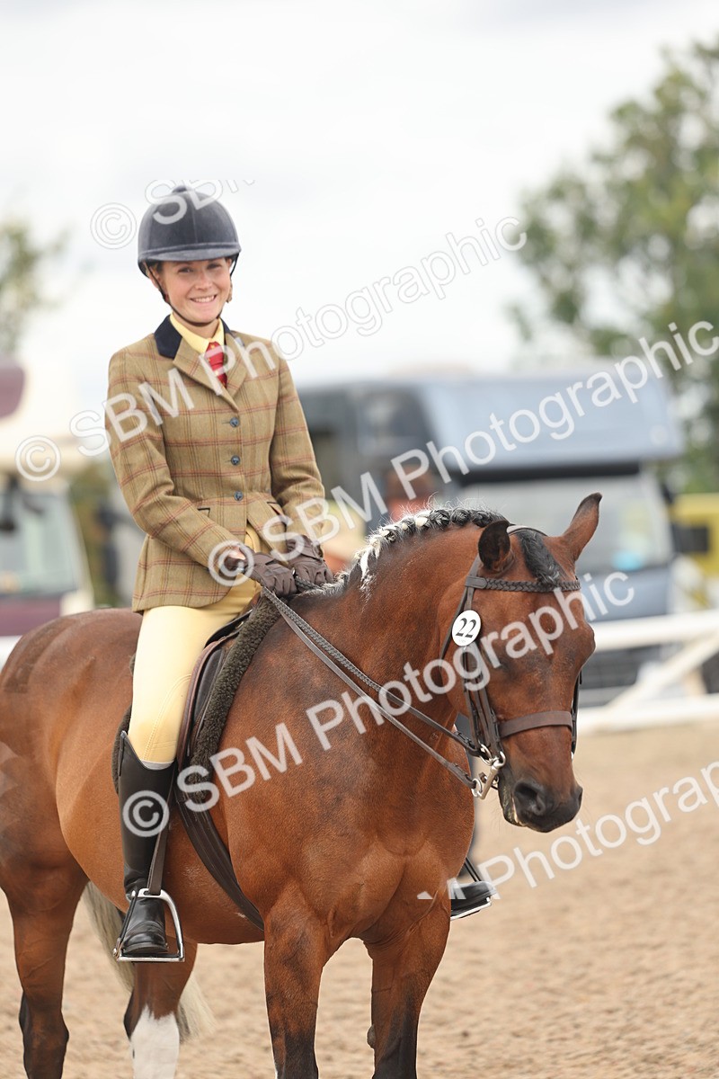SBM_16024 - Class 311 - Ridden Show pony-Show hunter Pony
