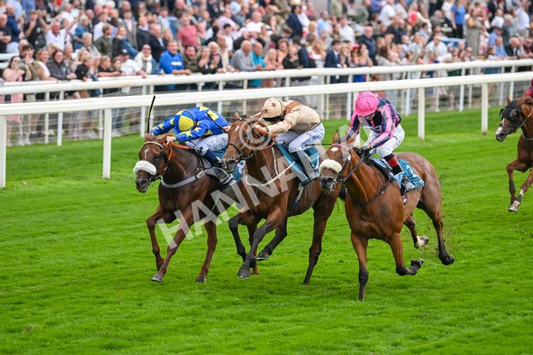 080925-Race 3-Rock N Roll Pinkie-7520 - Race 3 3.30pm Skybet Proud To Support ROR Stayers Handicap