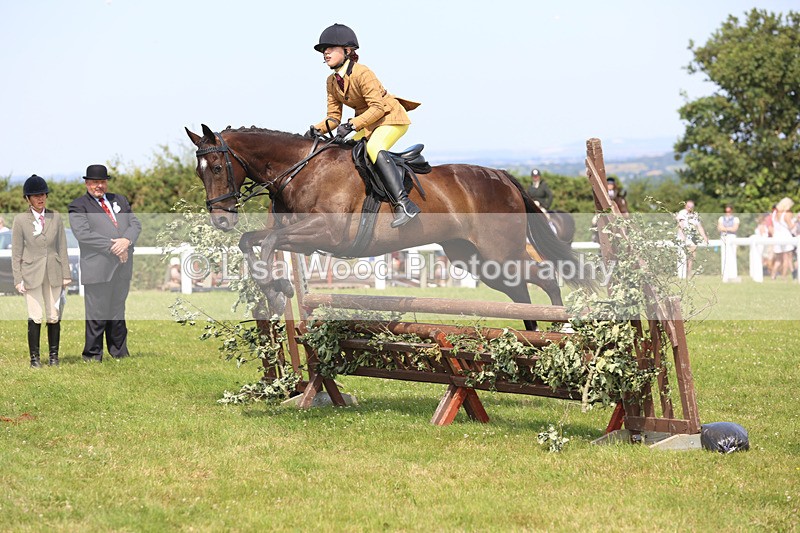 JPP_3571 - Class 23: Working Hunter 80cm