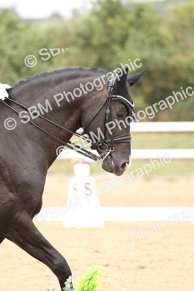 SBM_007613 - Class 9 - FEI INT I - 14.57-15.45