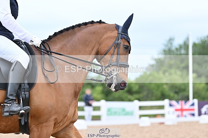 240623A-134326-18397 - Cls 51 BD Elementary 53