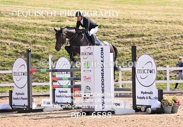 BPP_6588 - CLASS 13 FRI HOYS Talent Seeker Qualifier Inc 7 Year Old Horse Championship Qualifier