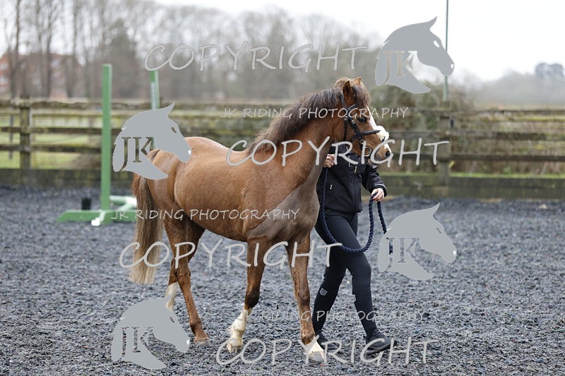 _R6A8093 - Class 1 X poles