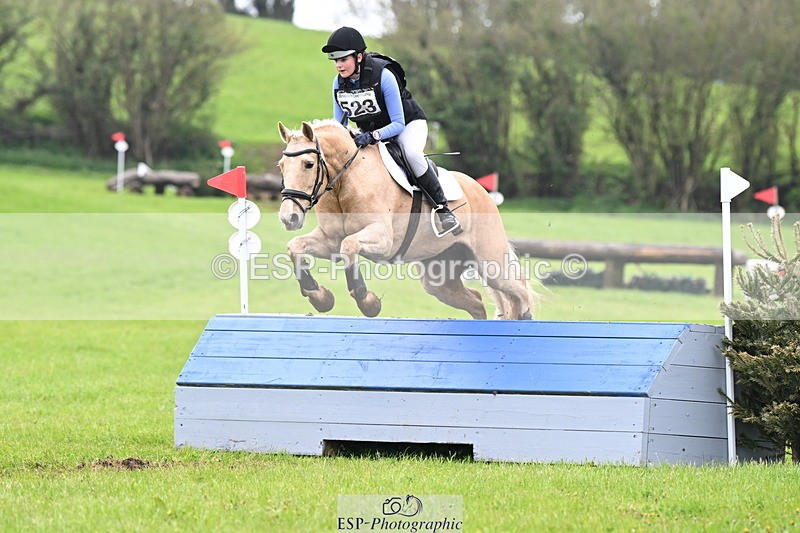 250419-125943-10476 - 523-Kate.Hicks-SWALLOWCROFT.STARDUST