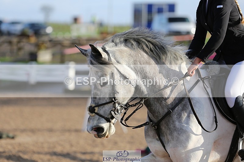 240211A-104001-01899 - Cls 2 Pony British Noivice & 80cm Open