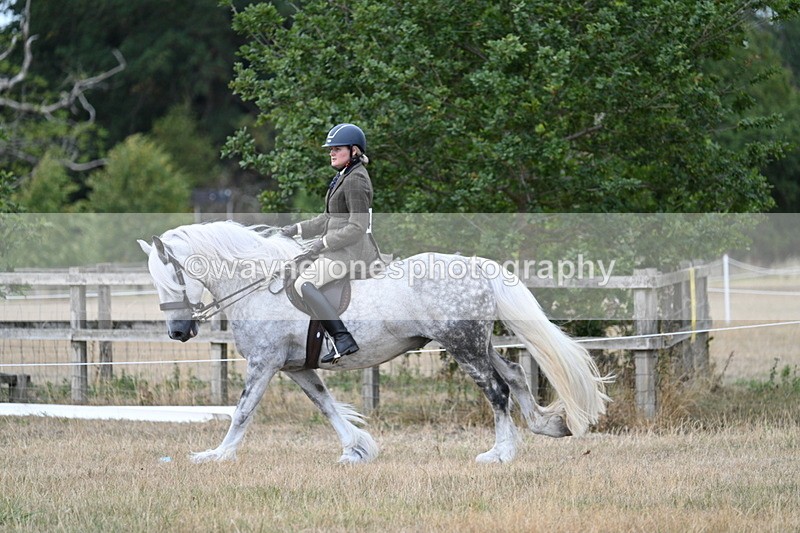 WJ7_5132 - Class 12 Ridden Cob