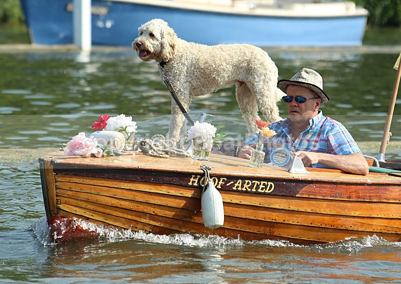 130705 HOOF-ARTED WT7A0363 - HENLEY ROYAL REGATTA - Friday 5th July 2013