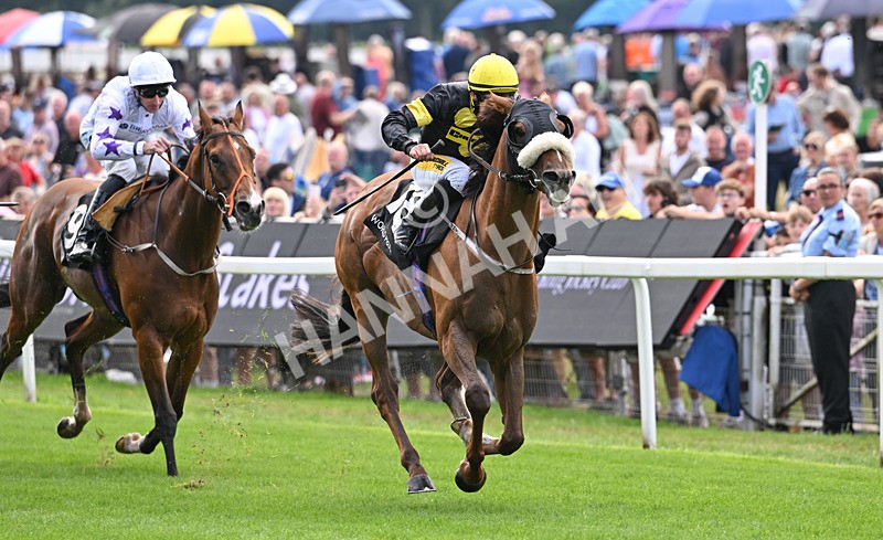 190826-006 Air Force One - Race 1 13.50pm Hong Kong Jockey Club World Pool Handicap