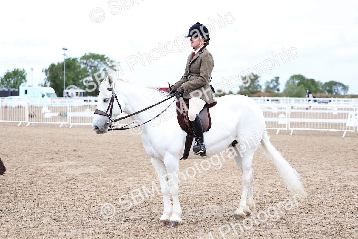 SBM_01497 - Class 17 - Prettiest Mare