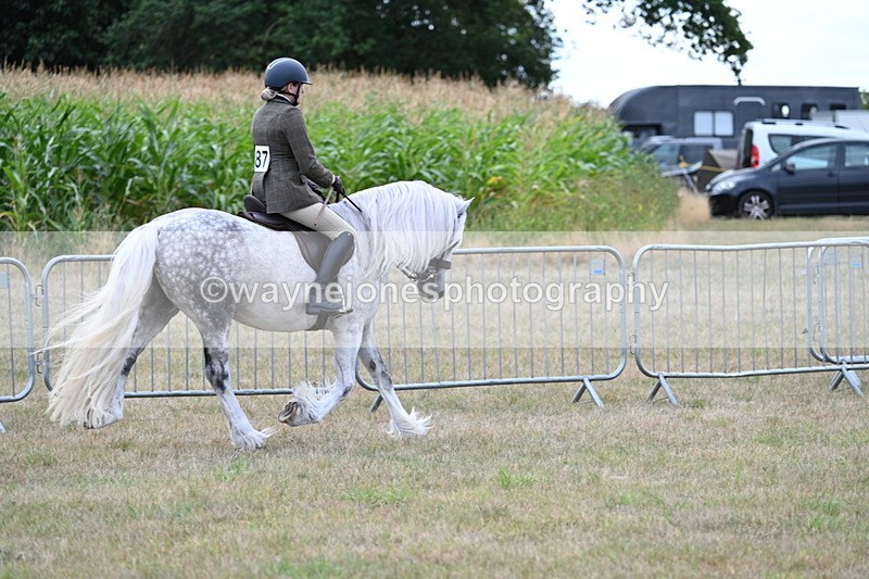 WJ7_4823 - Class 12 Ridden Cob