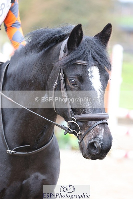 231118-112437-01101 - Cls 2 80cm Start to 11.30