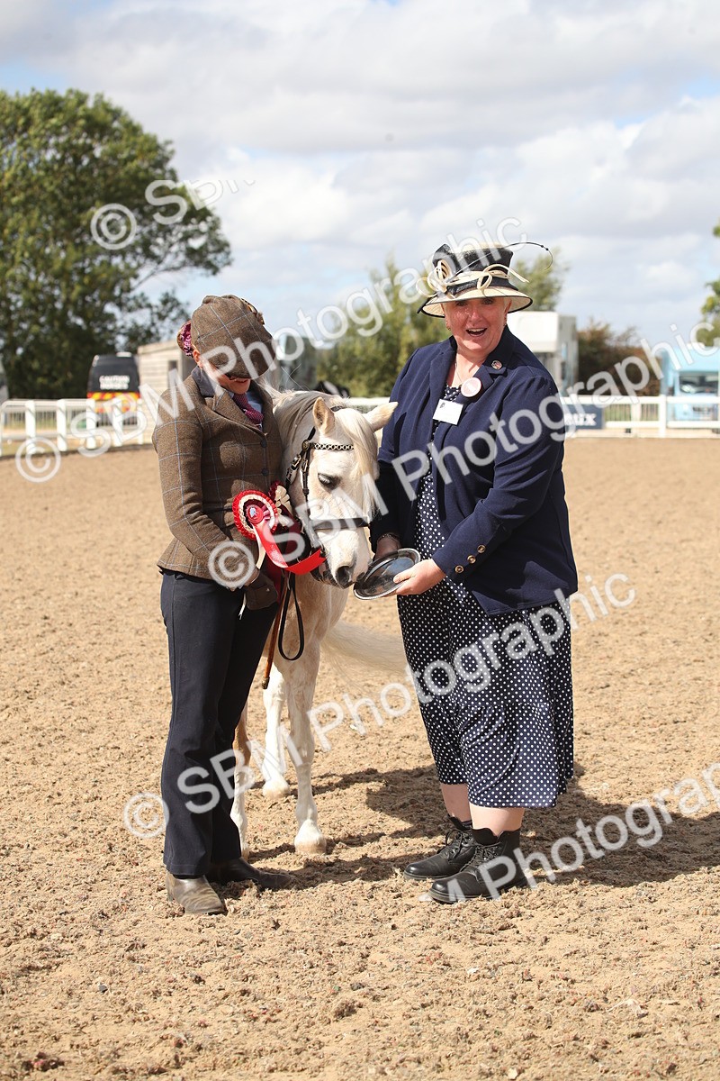 SBM_23474 - Class 604 - 2026 - Area IH Diamond