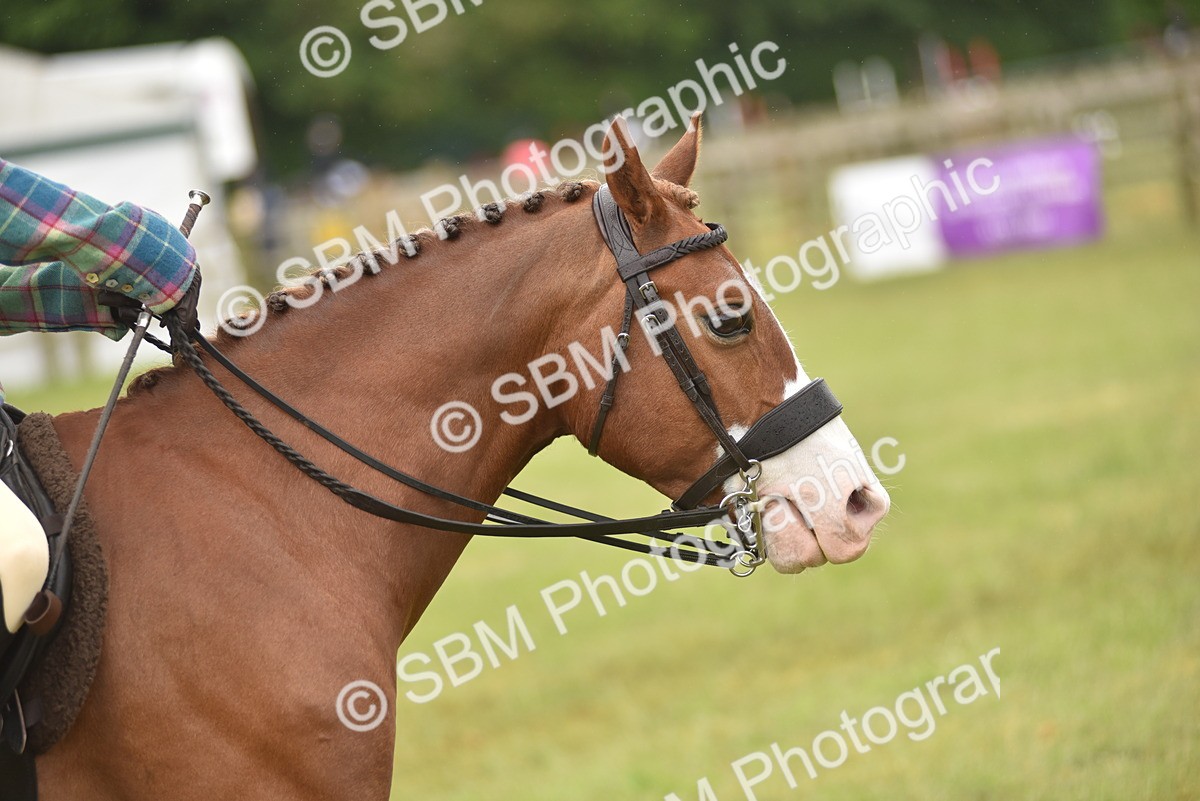 SBM_12028 - Class 110-112 - LIHS BSPS Performance Pones