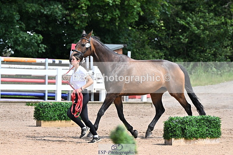 240718A-105250-01231 - Trot Up 12pm to 1pm