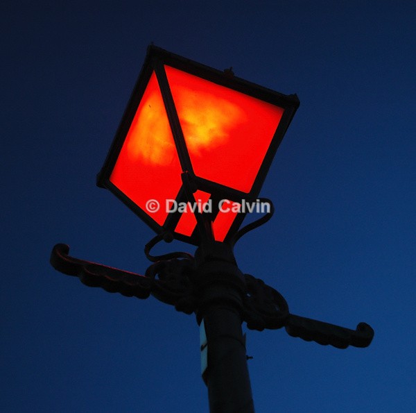 Harbour Lamp - Nocturnal