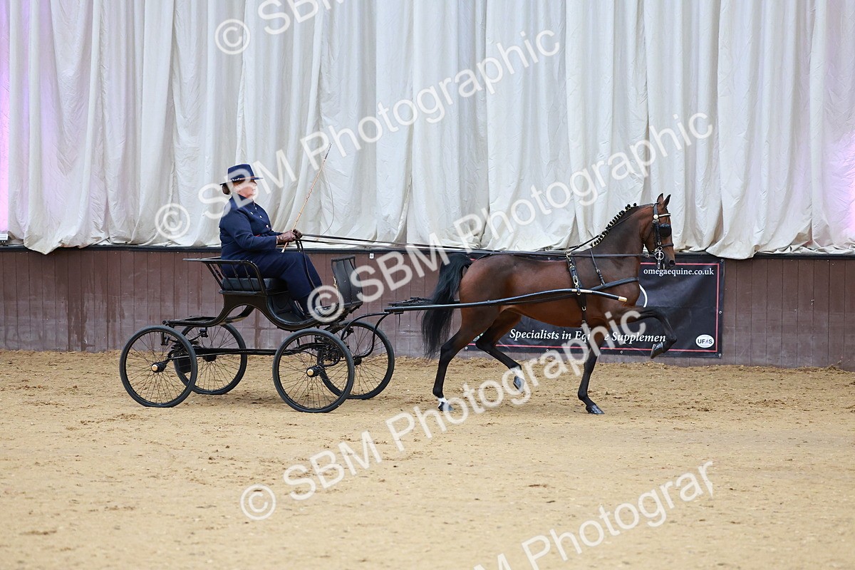 SBM_000609 - Class 9 - HHS Championship Intl Hackney Pony to a Showwagon