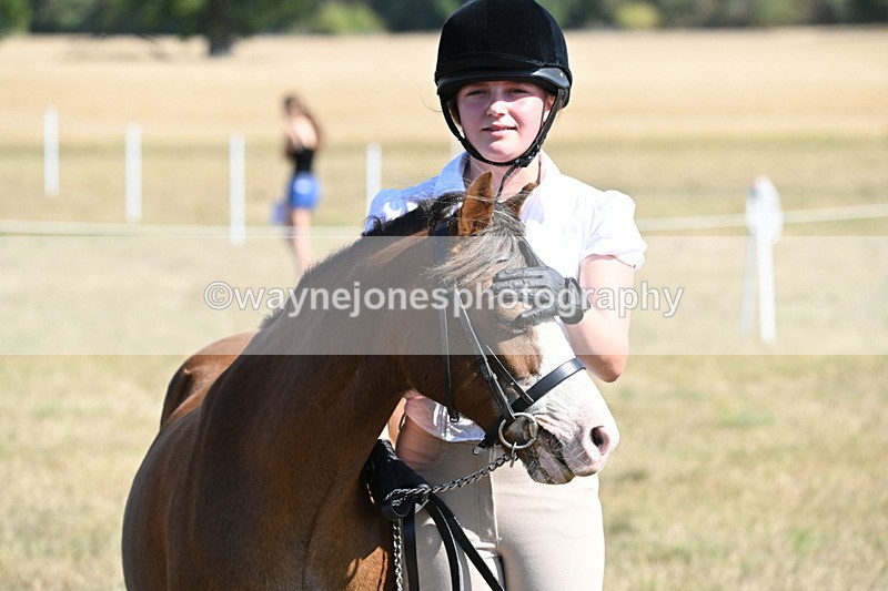 WJ6_7638 - Class 34 Judges Choice