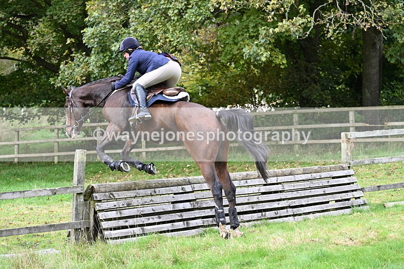 WJ7_4620 - Camera 1 Line 3